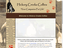 Tablet Screenshot of hickorycreekscollies.com